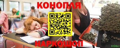 Альфа ПВП Лесосибирск