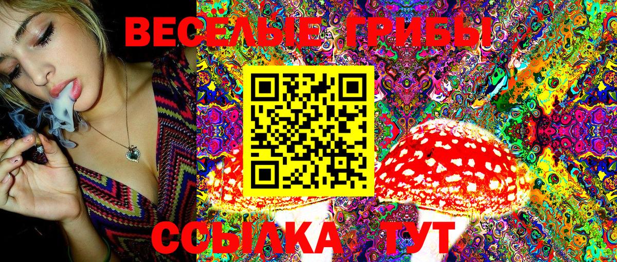 Галлюциногенные грибы Magic Shrooms  Вход с VPN  Йошкар-Ола  Псилоцибиновые грибы Psilocybine cubensis 