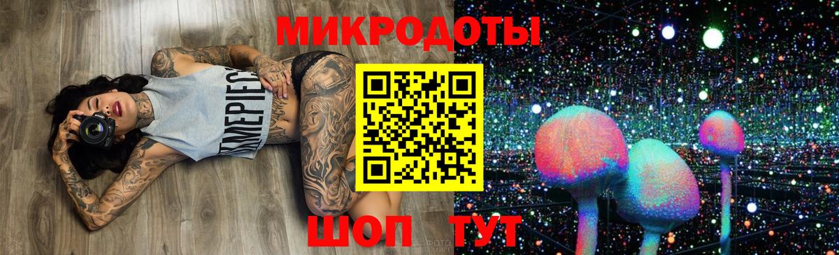 Галлюциногенные грибы Psilocybe Йошкар-Ола